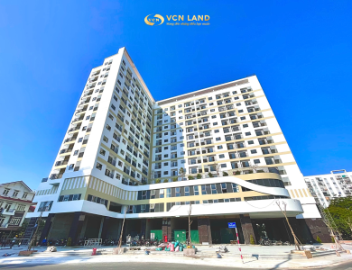 CT9 VĨNH ĐIỀM TRUNG